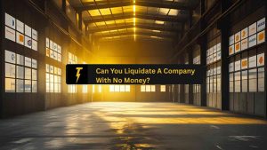 Can You Liquidate A Company With No Money (1) Can You Liquidate A Company With No Money